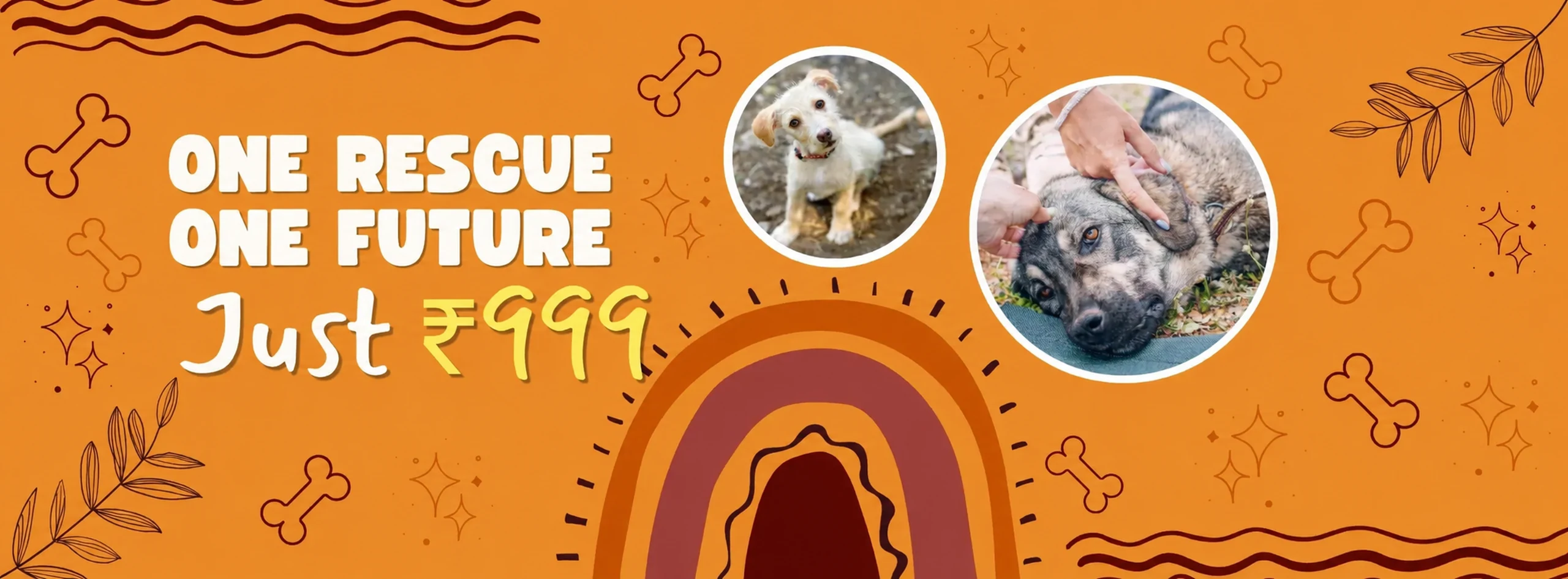 One rescue, one future — give a street dog food, care and a second chance