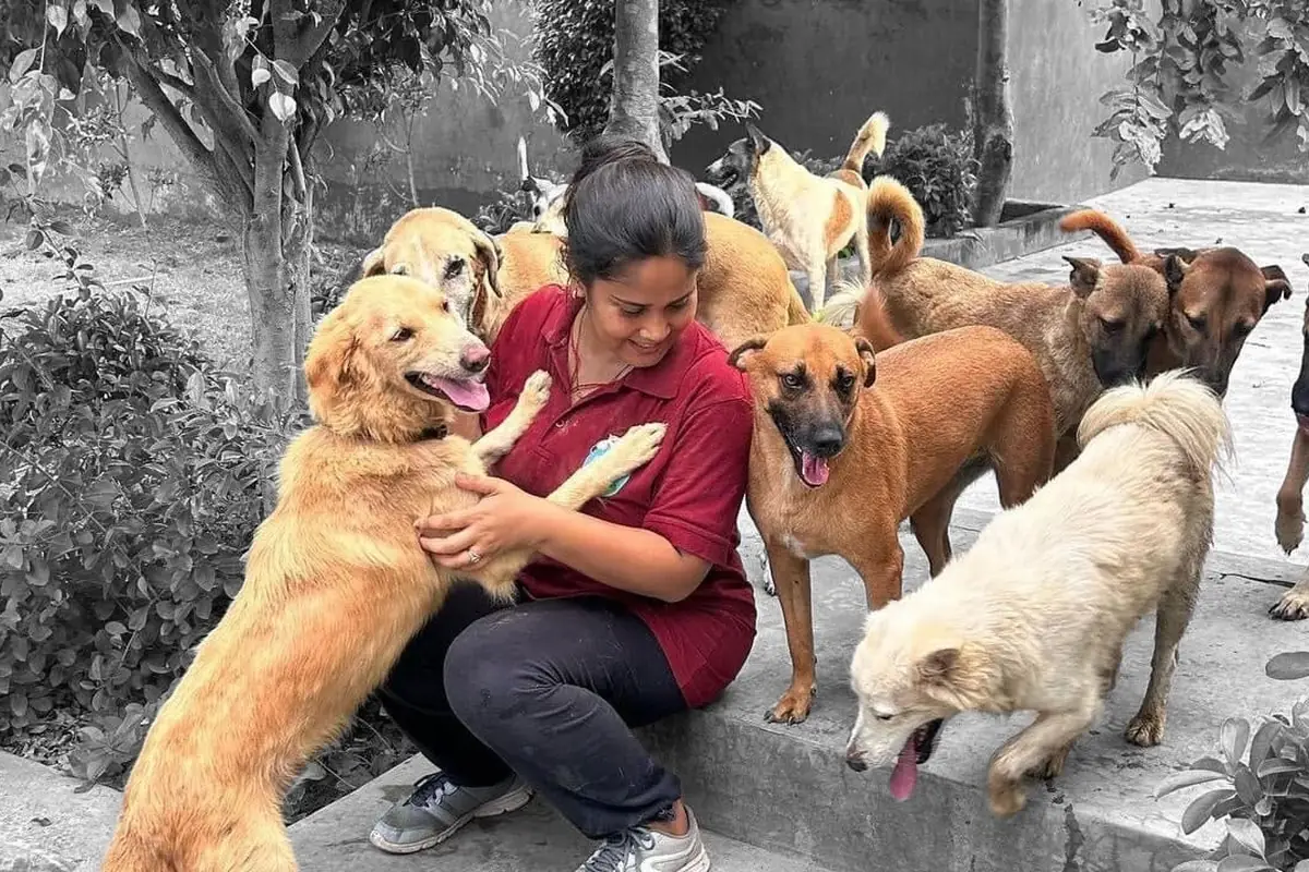A rescuer surrounded by the street dogs she has saved