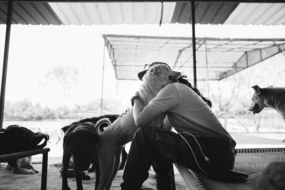 A volunteer hugging rescued dogs at the shelter