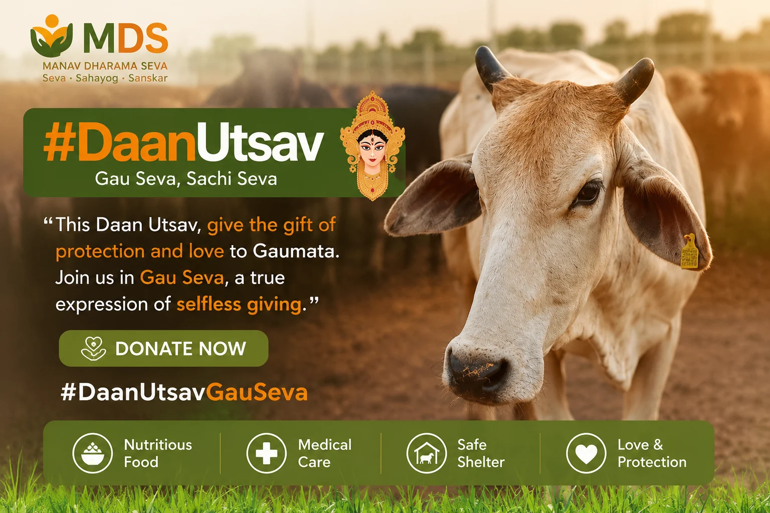 #DaanUtsav — Gau Seva, Sachi Seva. Give the gift of protection and love to Gaumata.