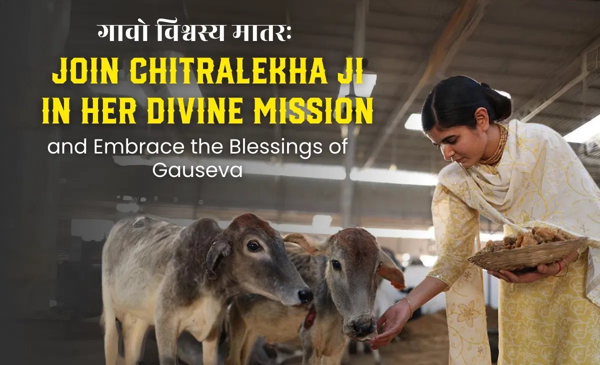 Join Chitralekha Ji in her divine mission — embrace the blessings of Gau Seva
